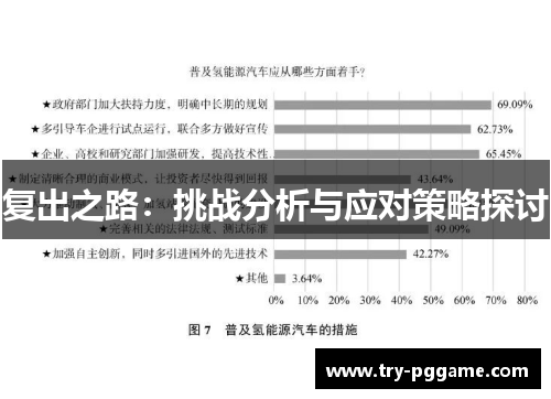 复出之路：挑战分析与应对策略探讨