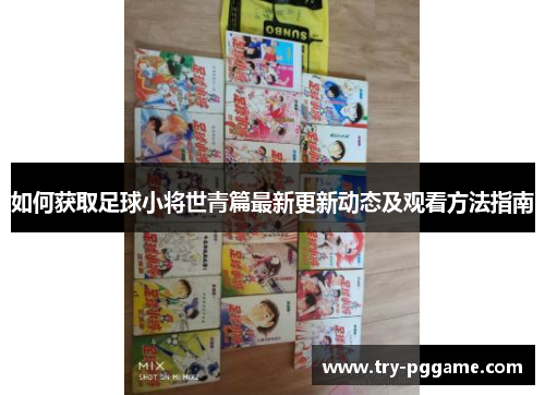 如何获取足球小将世青篇最新更新动态及观看方法指南