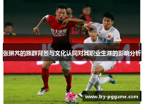 张琳芃的族群背景与文化认同对其职业生涯的影响分析