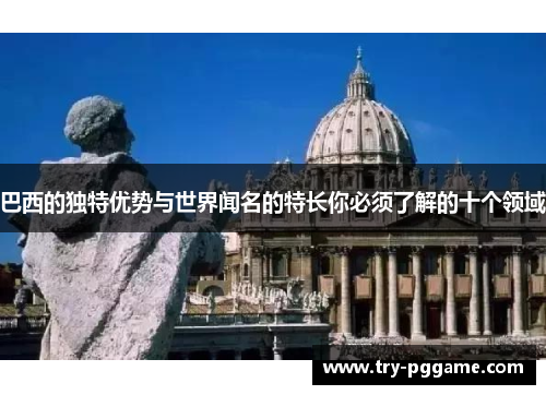 巴西的独特优势与世界闻名的特长你必须了解的十个领域