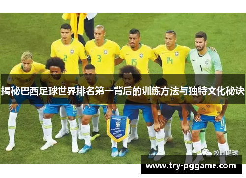 揭秘巴西足球世界排名第一背后的训练方法与独特文化秘诀