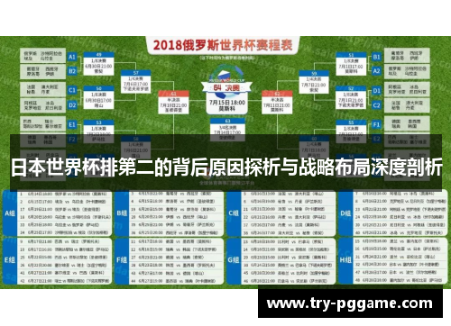 日本世界杯排第二的背后原因探析与战略布局深度剖析