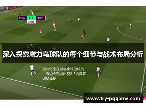 深入探索魔力鸟球队的每个细节与战术布局分析