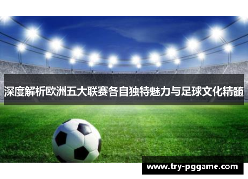 深度解析欧洲五大联赛各自独特魅力与足球文化精髓