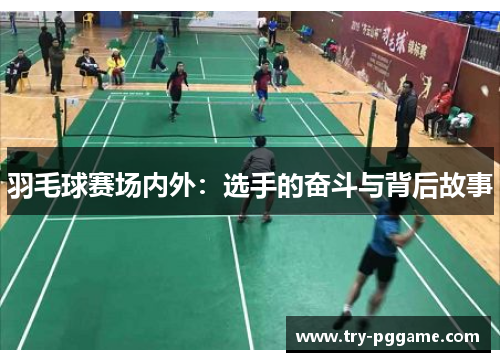 羽毛球赛场内外：选手的奋斗与背后故事