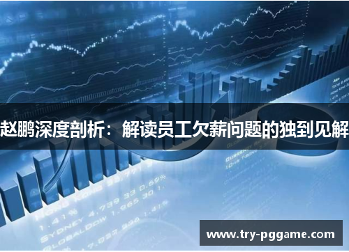 赵鹏深度剖析:解读员工欠薪问题的独到见解 赵鹏深度剖析:解读员工欠薪问题的独到见解