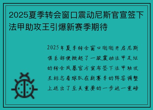 2025夏季转会窗口震动尼斯官宣签下法甲助攻王引爆新赛季期待