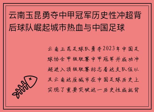 云南玉昆勇夺中甲冠军历史性冲超背后球队崛起城市热血与中国足球